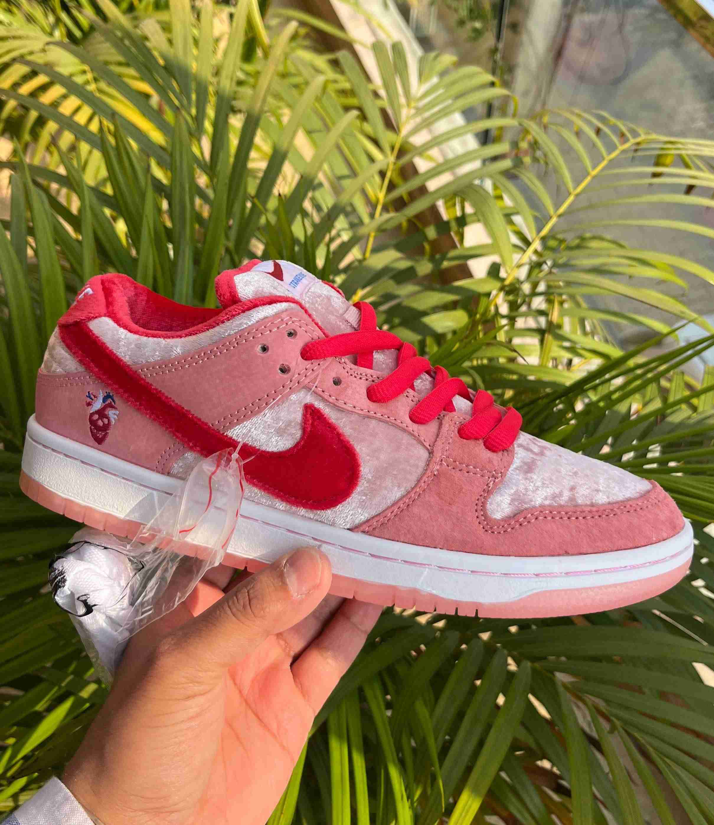Nike SB dunk red women