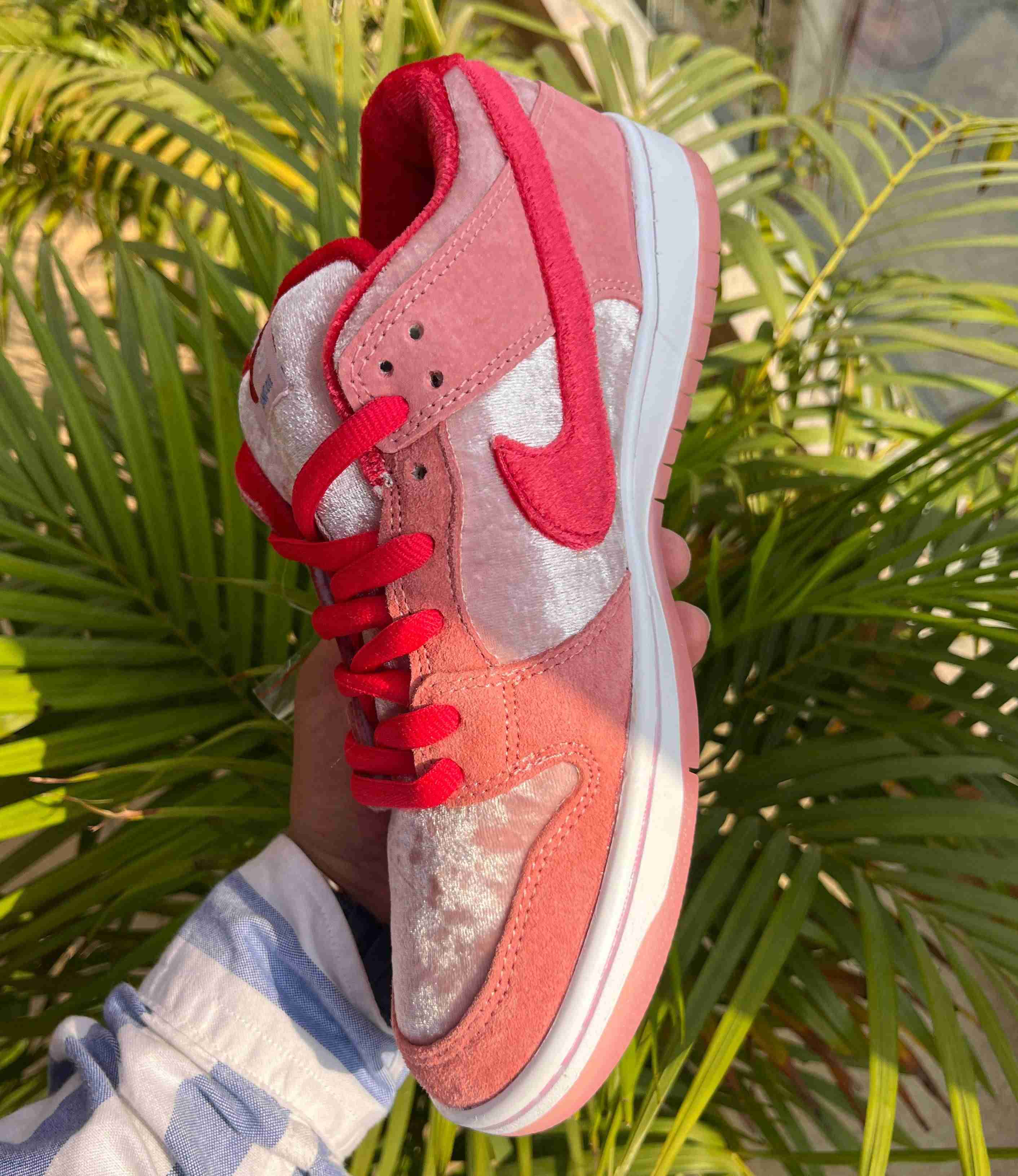 Nike SB dunk red women