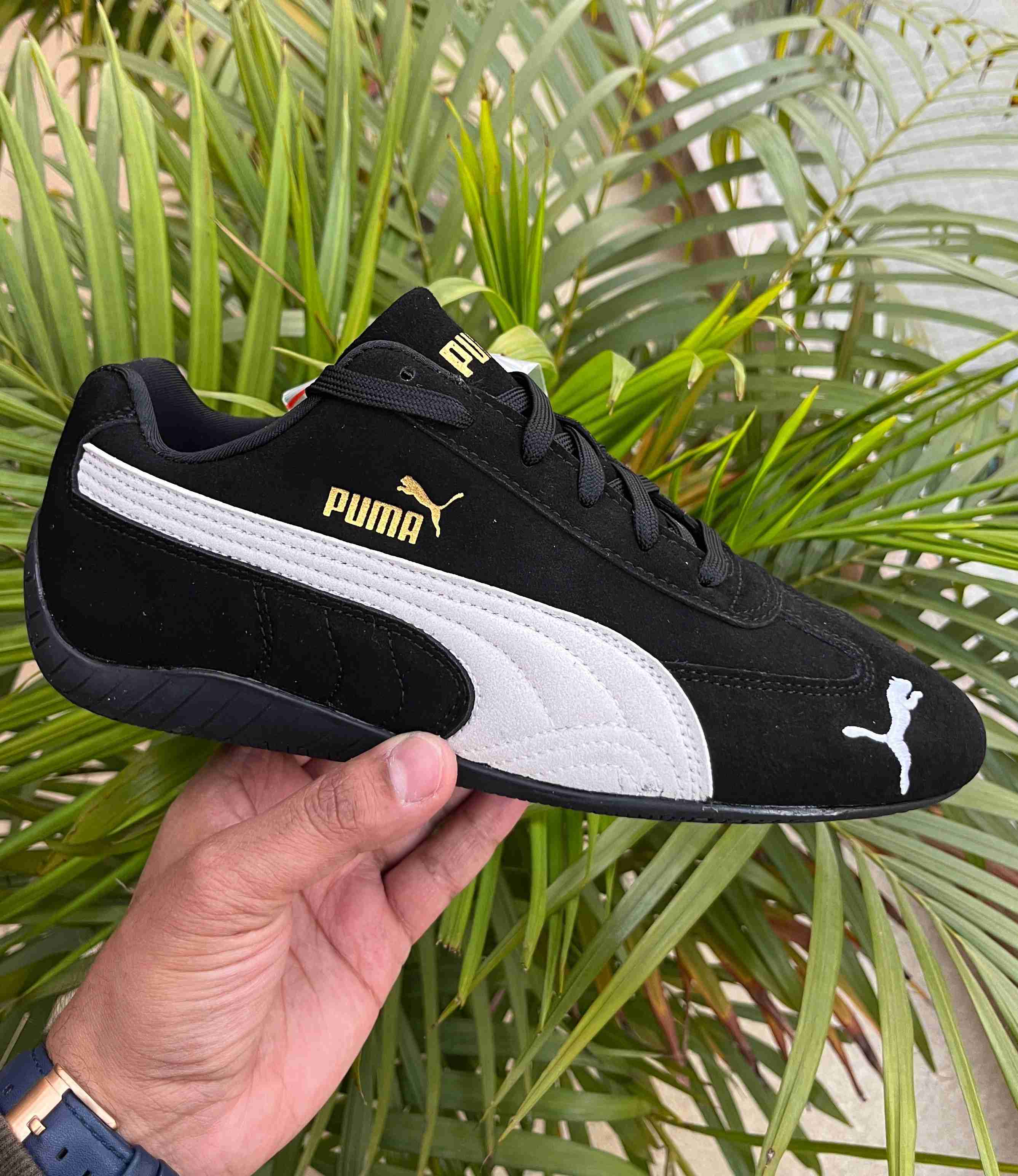 Puma sporty women