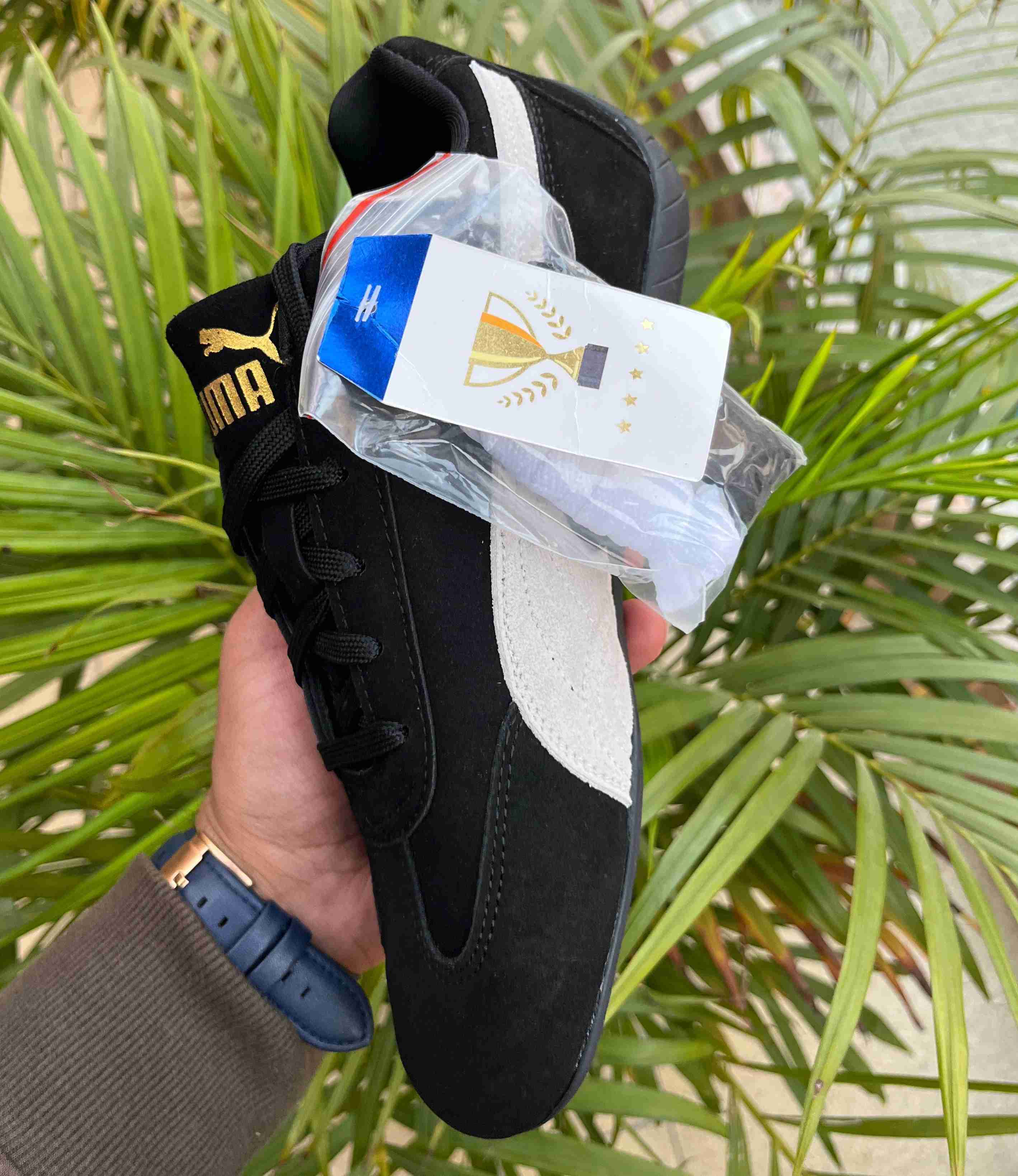 Puma sporty women