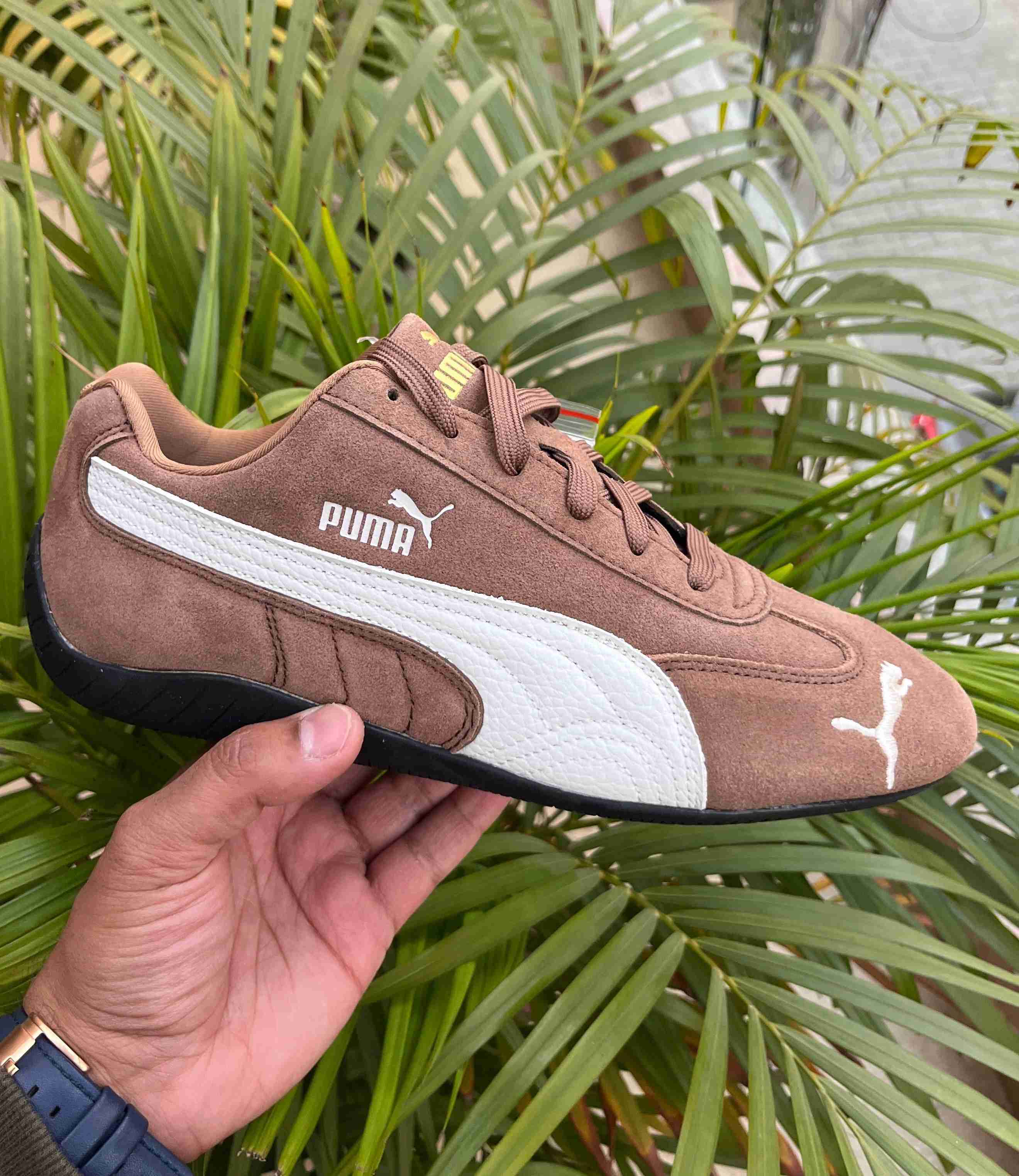Puma sporty brown women